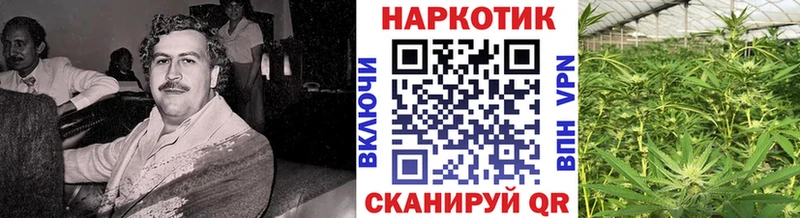 Наркошоп купить ГАШИШ  СОЛЬ  COCAIN  Меф мяу мяу  Канабис  Хилок
