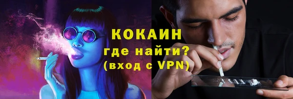 гашик Володарск