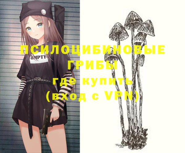 гашик Володарск