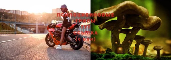 гашик Володарск