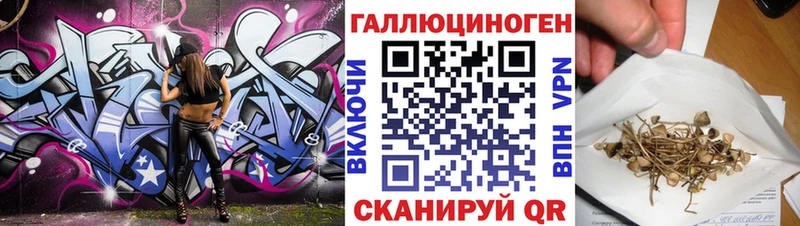 Псилоцибиновые грибы MAGIC MUSHROOMS  Купить  Хилок 